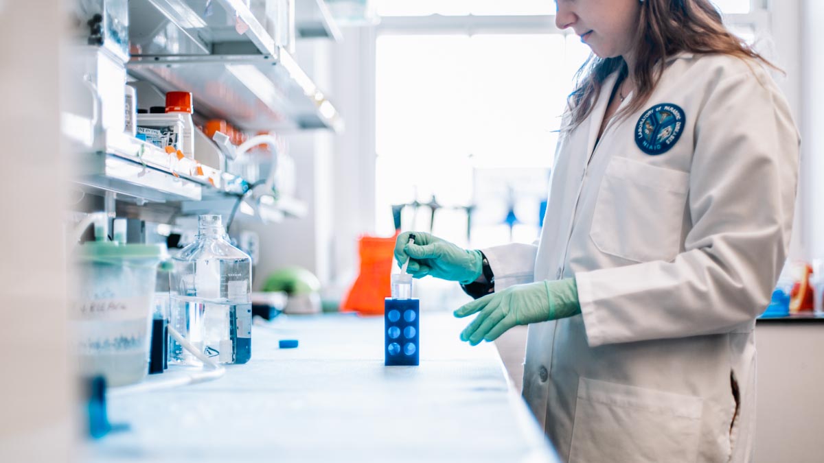 A female researcher  works in a lab with a dropper and container. 