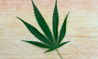A cannabis leaf on a wooden background.