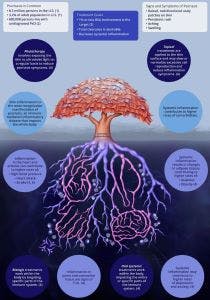 NPF Health Outcomes poster showing the systemic nature of psoriasis.