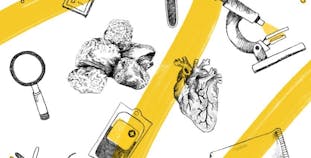 Illustration with a yellow ribbon and icons representing science and research.