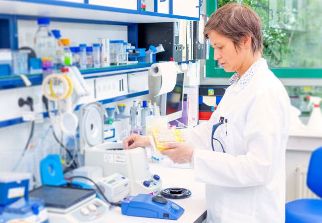 A scientific researcher examines samples in a laboratory.