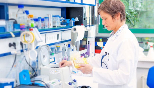 A scientific researcher examines samples in a laboratory.