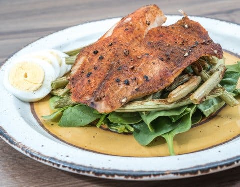 Baked fish on a bed of greens on a white plate.
