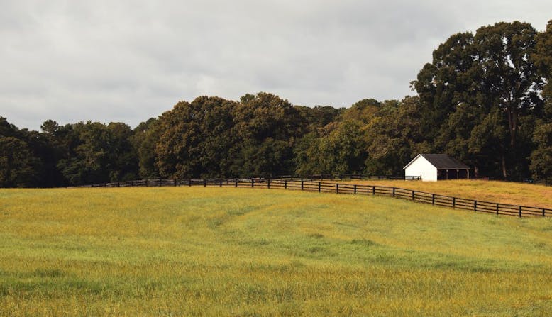 A field with a fence, a farm building, and a line of trees in the background.