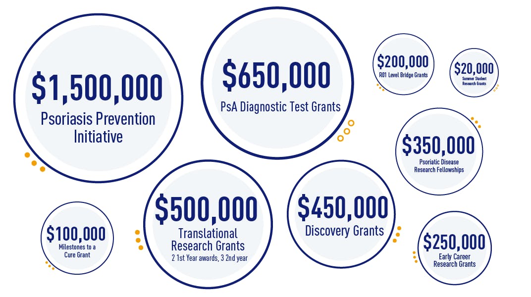 NPF FY 21 Funding Graphic Representation