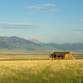 A house in the distance surrounded by a field with mountains in the distance.