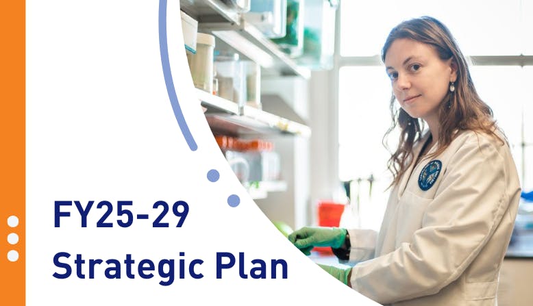 FY25-29 Strategic Plan