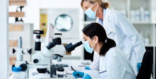 Two women researchers look at microscopes in a lab.