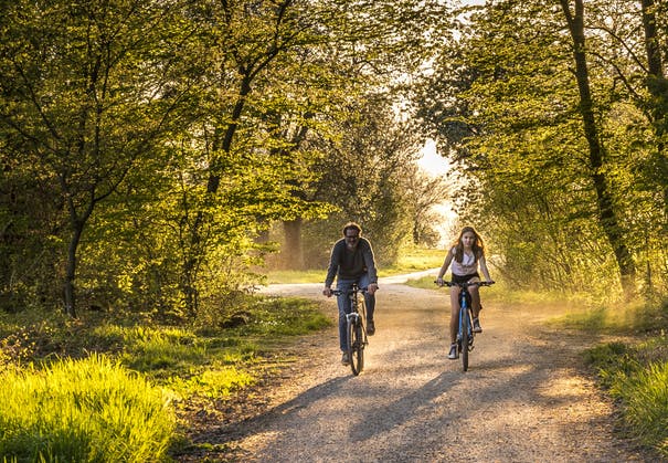 Two bikers on a forest trail.