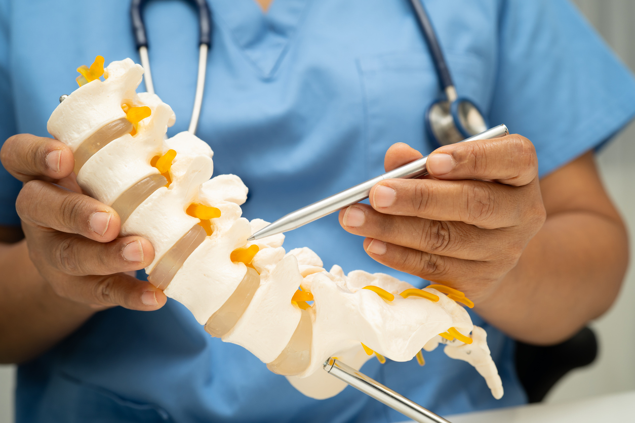 A doctor holds a model of a spine.