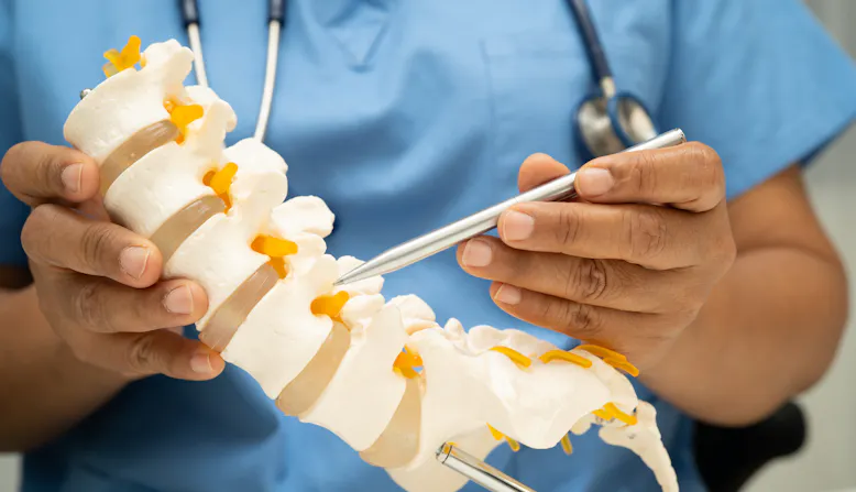 A doctor holds a model of a spine.