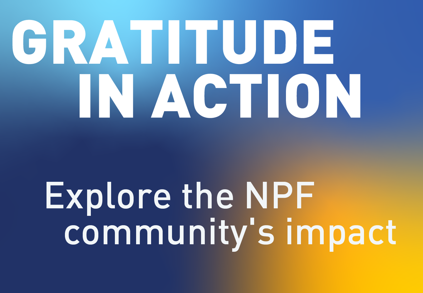 Gratitude in Action: Explore the NPF community's impact