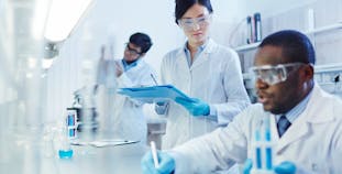 Researchers work together in a lab.