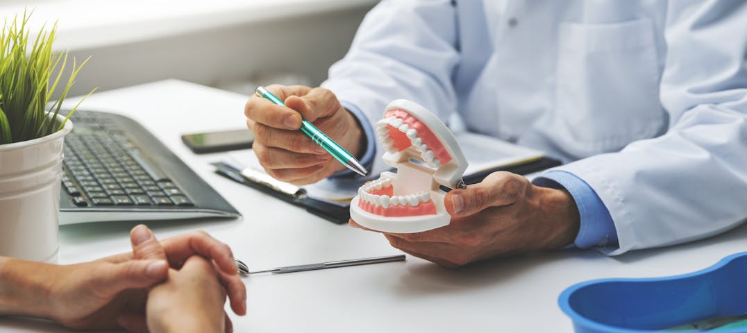 A doctor showing a patient a model of a jaw and pointing with a pen.