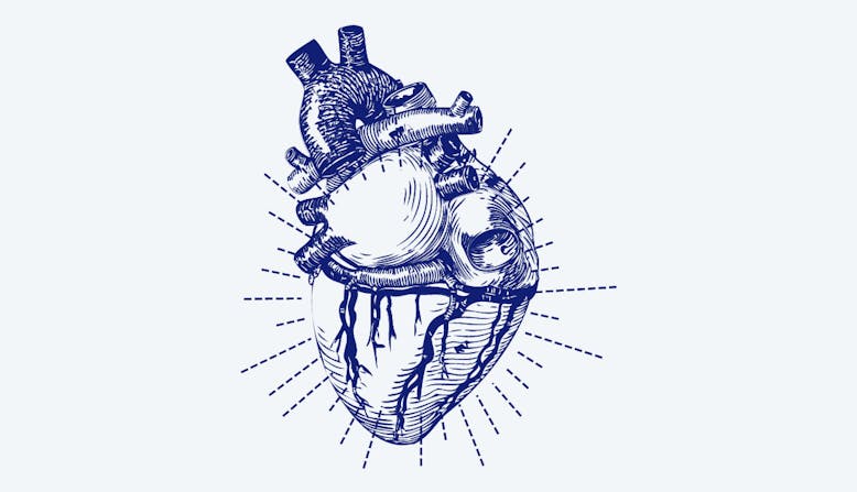 Anatomic representation of a heart.