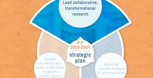 Illustrated 5-year strategic plan logo. 
