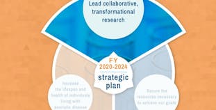 Illustrated 5-year strategic plan logo.