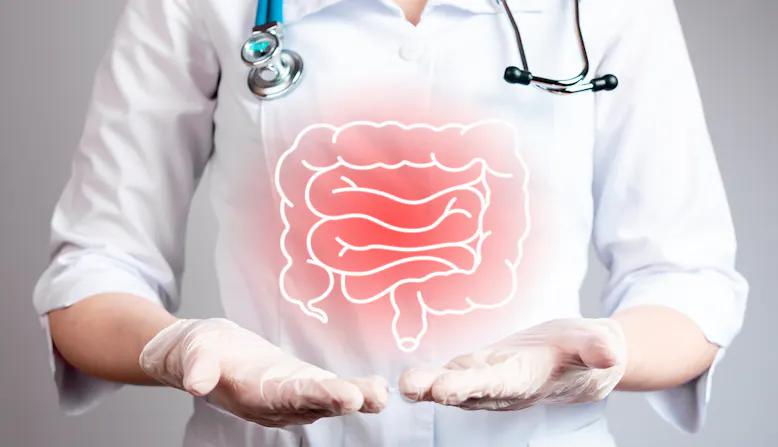 A doctor holding their hands out with a graphic of the intestines over them.