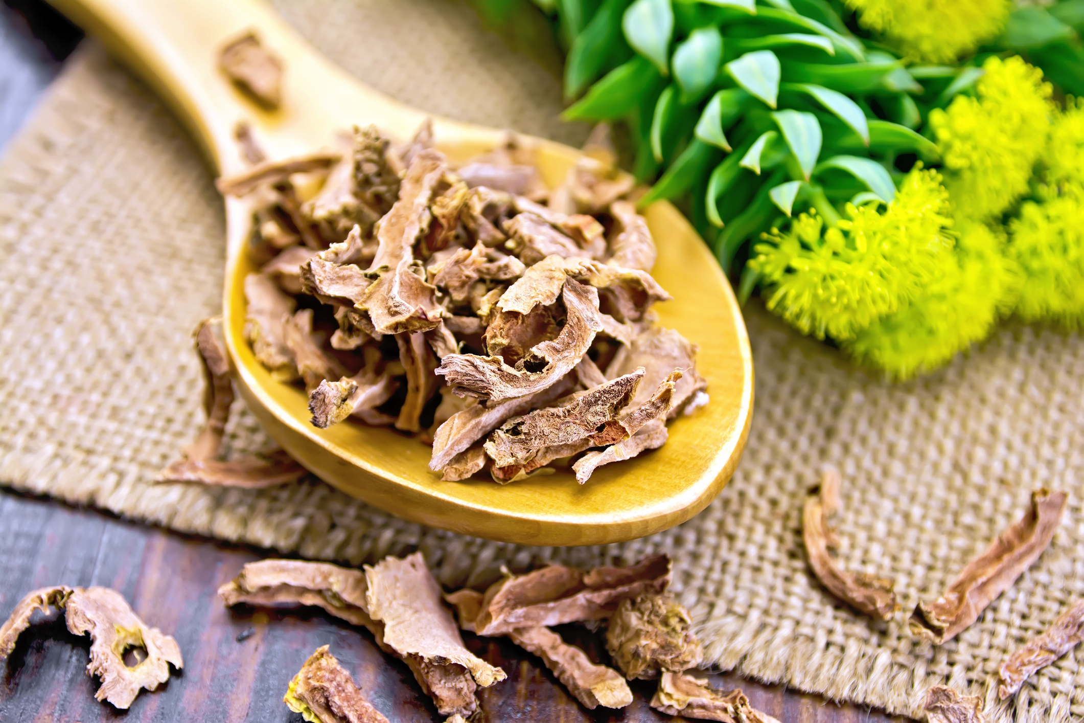 A complete guide to Rhodiola rosea for erections