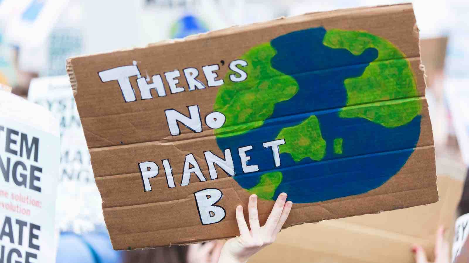 Protestor with a picture of the globe saying - There's No Planet B