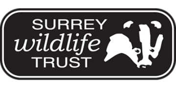 surrey wildlife trust logo