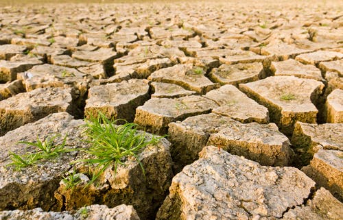 Dry earth