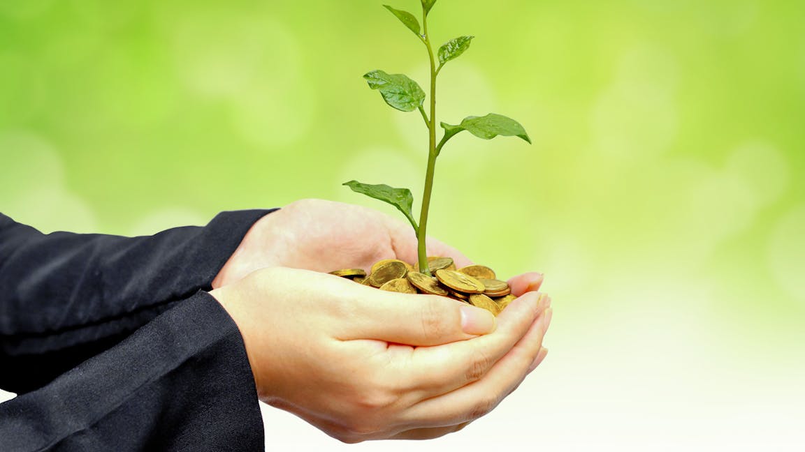 Man holding a sapling