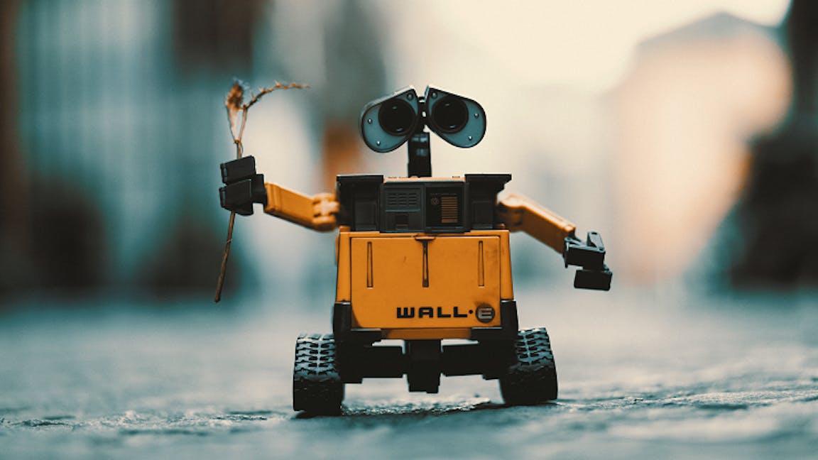 Wall-e robot on street holding leaf