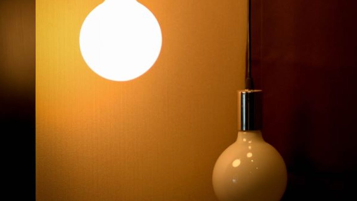 bulbs