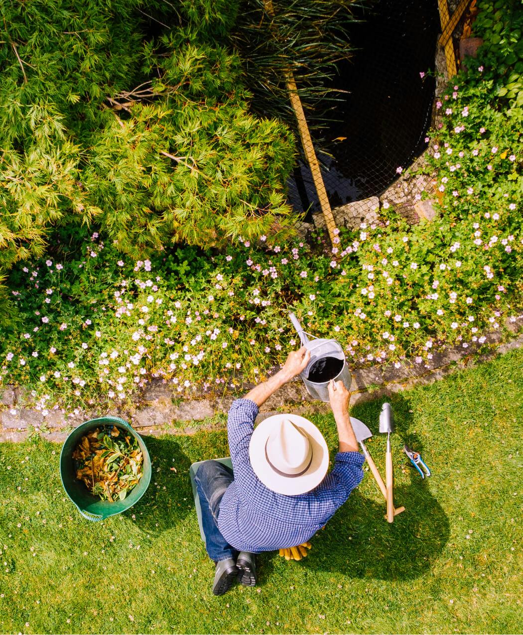 Person watering the garden