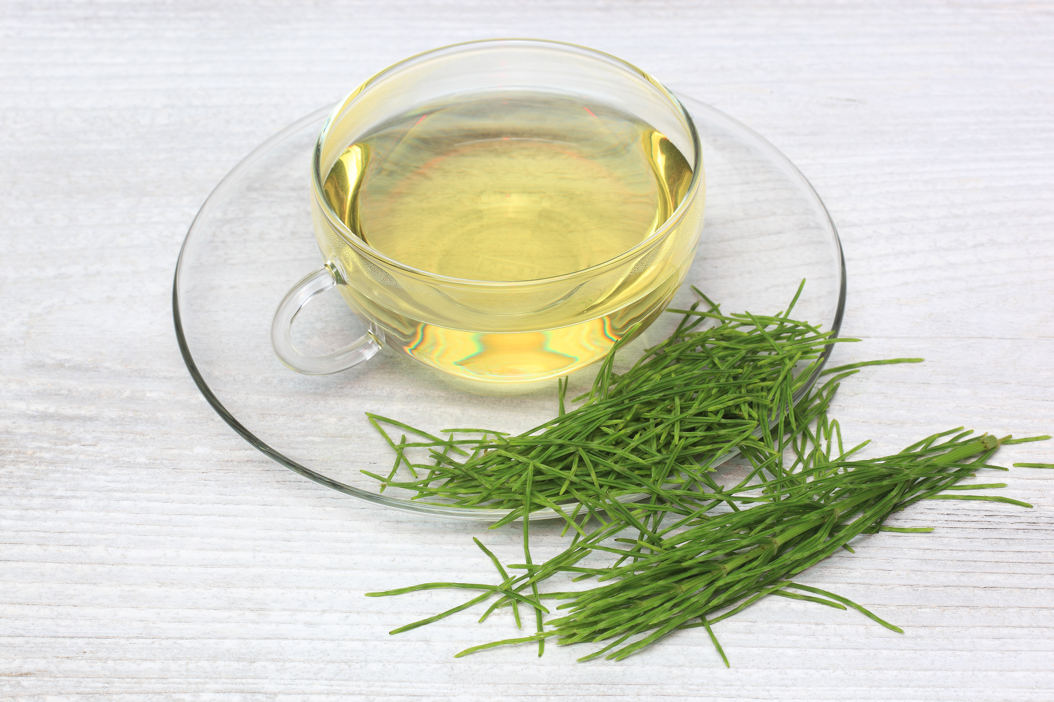 What Can Horsetail Herb Do For You? Nutrafol