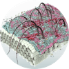 Illustration of an imbalanced scalp microbiome due to hormone imbalances, product build-up, or dirt and dust.