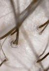 Extreme close-up of a cleansed, less congested, and balanced scalp after using Root Purifier Shampoo.