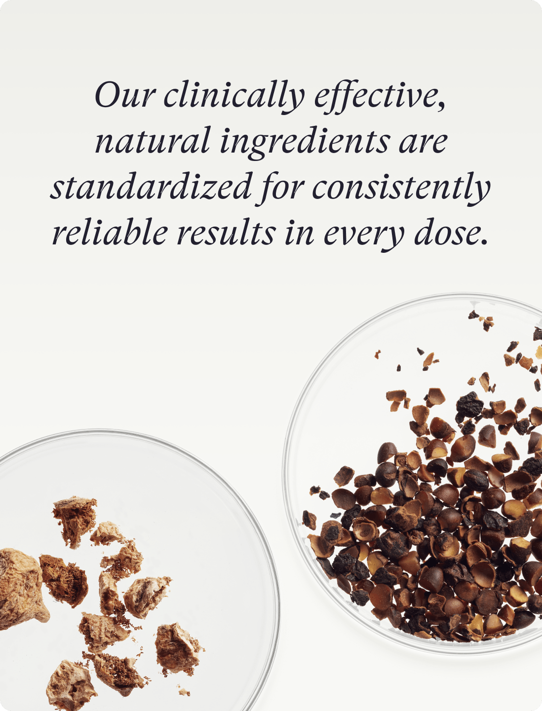 Nutrafol Women's Balance | Nutrafol Nutrafol Women's Balance | Nutrafol