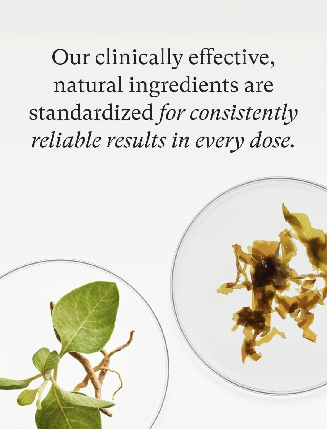 Nutrafol Core for Women | Nutrafol Nutrafol Core for Women | Nutrafol