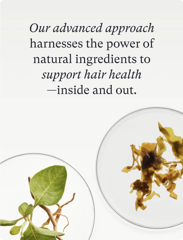 Two petri dishes showing Fullest Hair Kit ingredients—one with Ashwagandha and the other with Kelp Minerals.