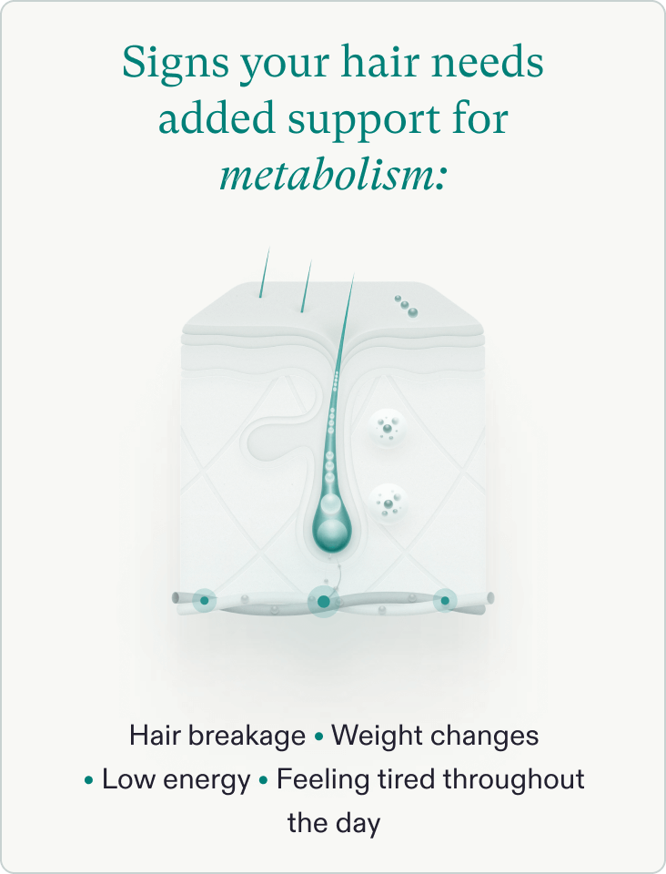 Follicle
