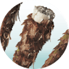 Illustration of hair that is damaged, lacks elasticity, and is more prone to breakage and splitting.