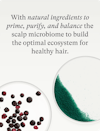 Two petri dishes showing key scalp care ingredients—one with Jojoba Esters and the other with Australian Wild Berries.