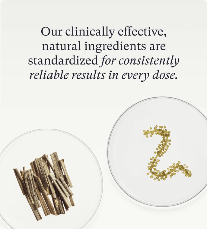 Gut Microbiome Hair Growth Duo | Nutrafol Gut Microbiome Hair Growth Duo | Nutrafol