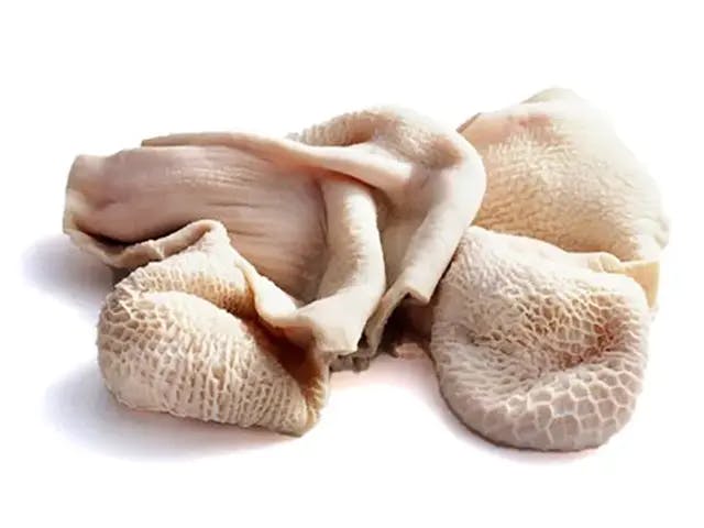 Bao tử bò