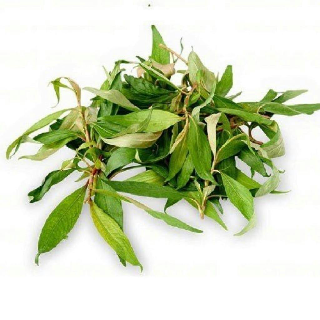 Rau răm