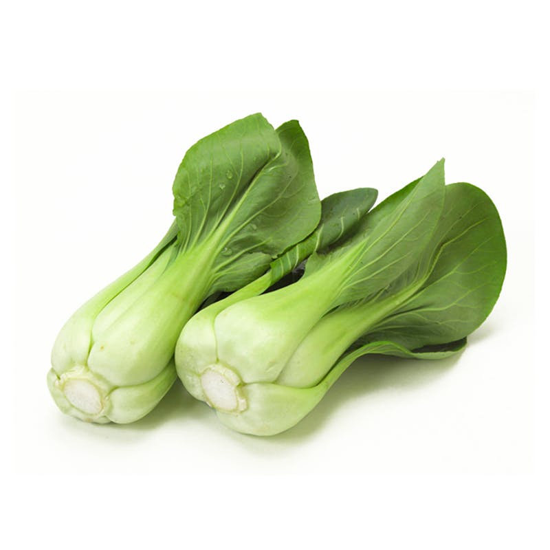 Cải thìa (cải trắng)
