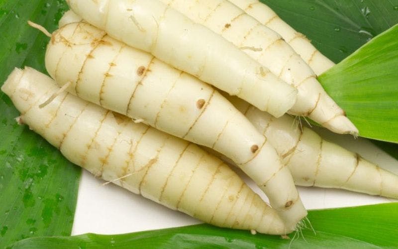 Củ dong