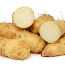 Củ từ bao nhiêu calo và thành phần dinh dưỡng