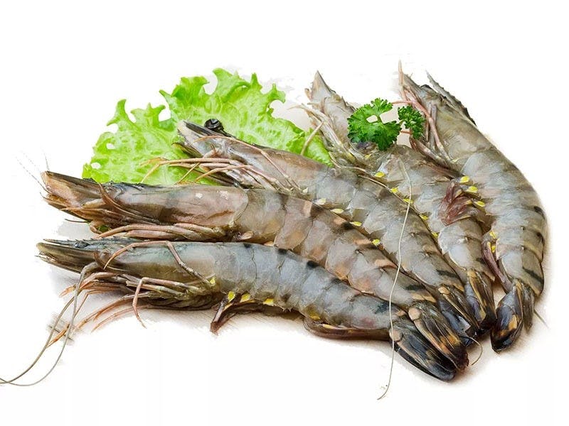 Tôm biển