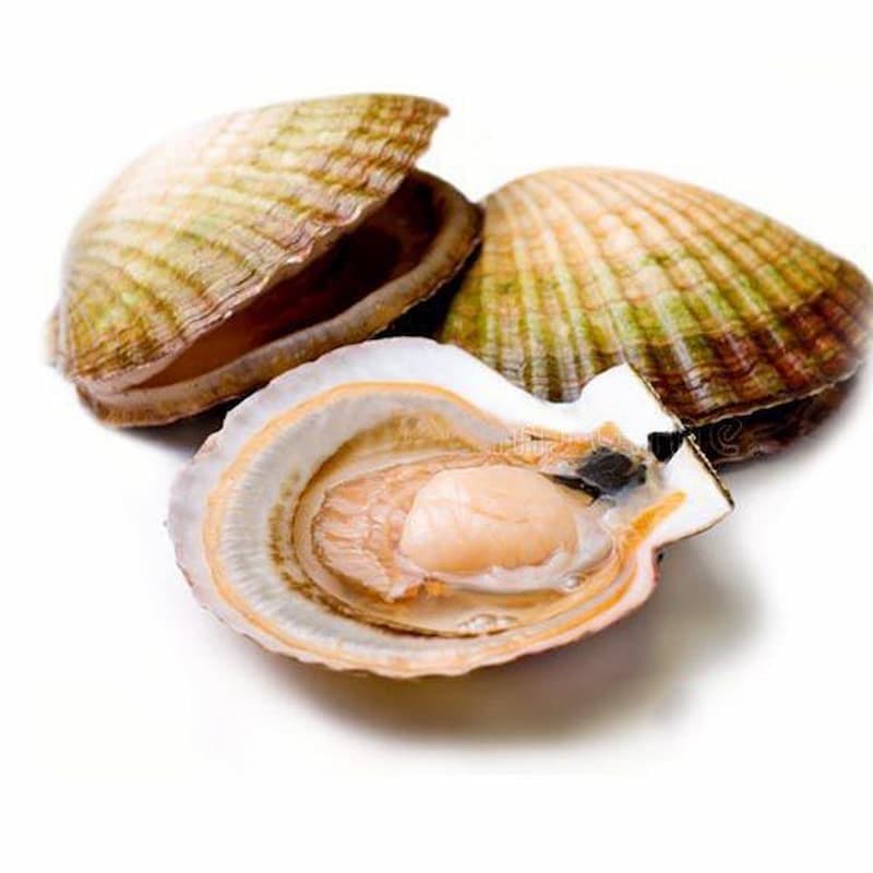 Sò