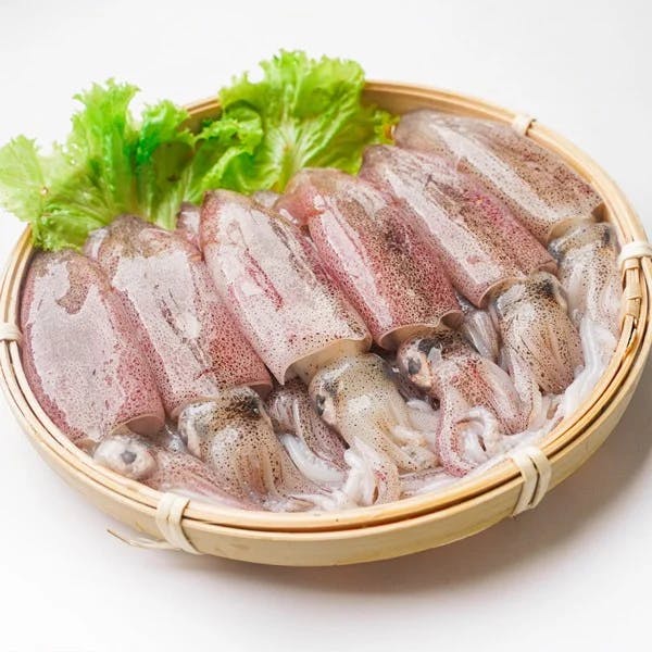 Mực tươi