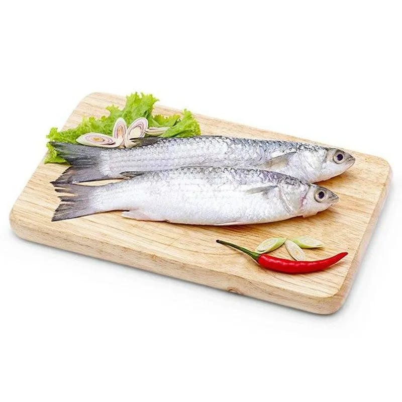 Cá đối
