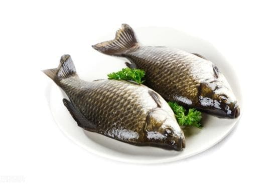 Cá giếc